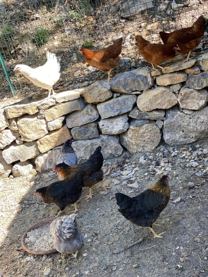 La Bastide Du Beausset-Vieux Panzió Le Beausset Kültér fotó